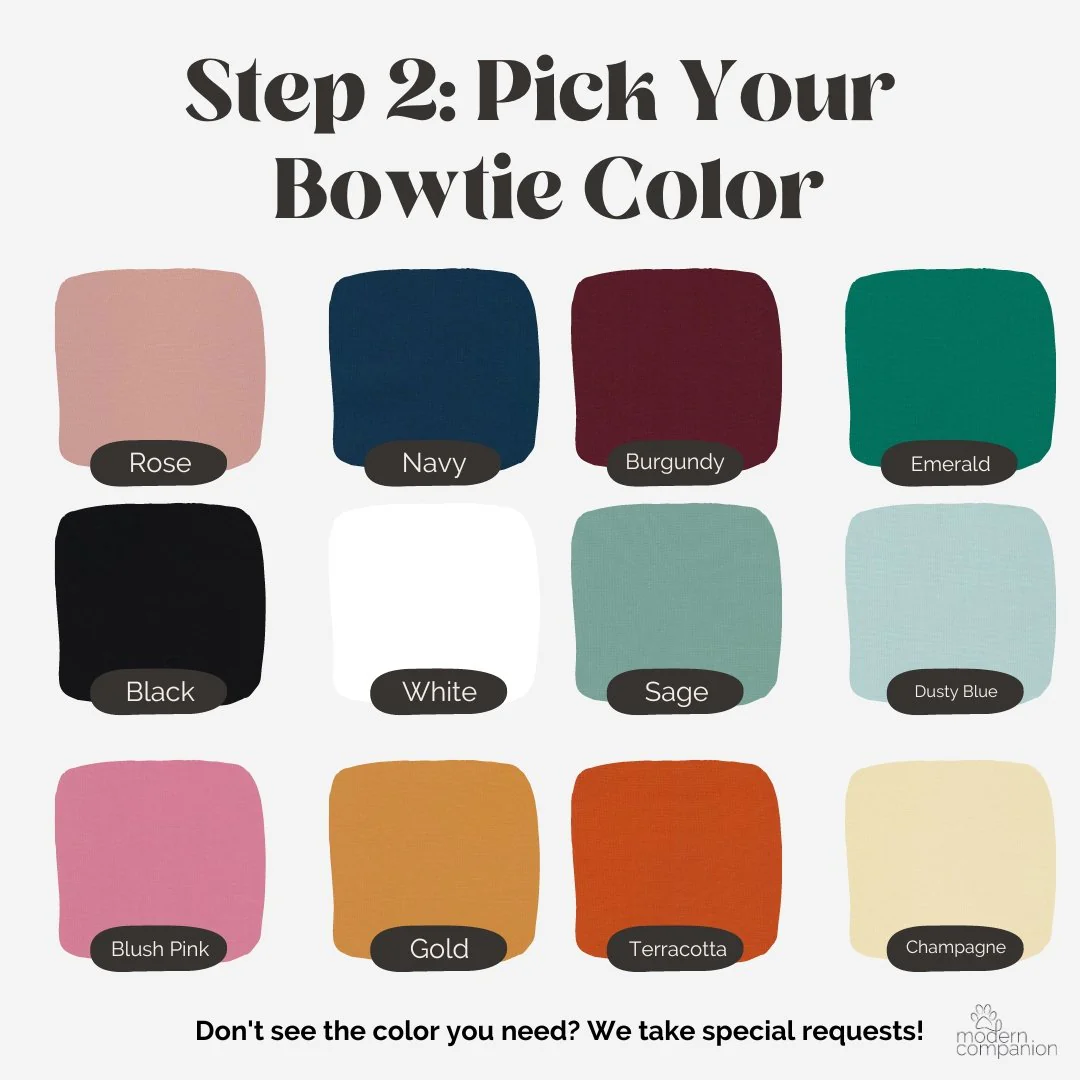 Customizable Tuxedo Pet Bandanas - Image 5