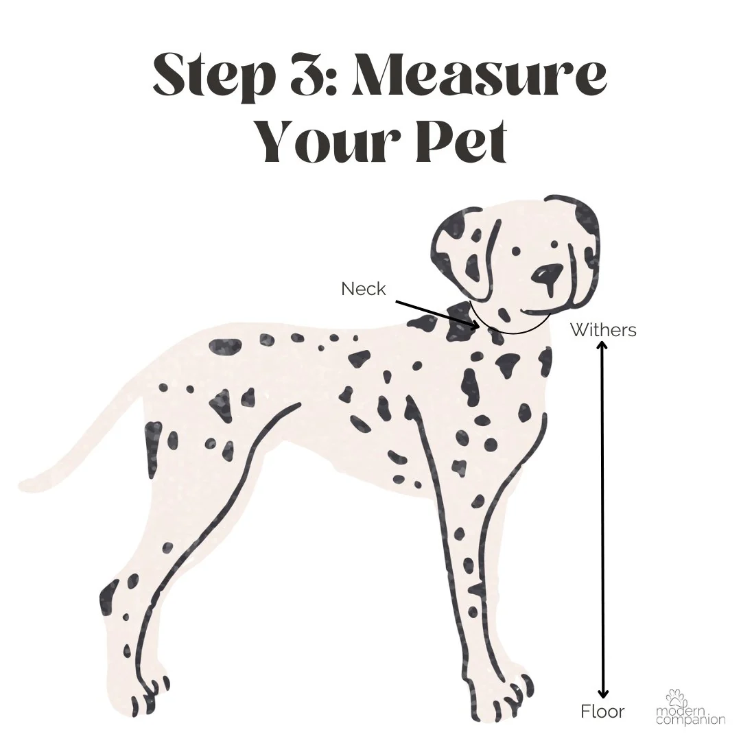 Customizable Tuxedo Pet Bandanas - Image 6