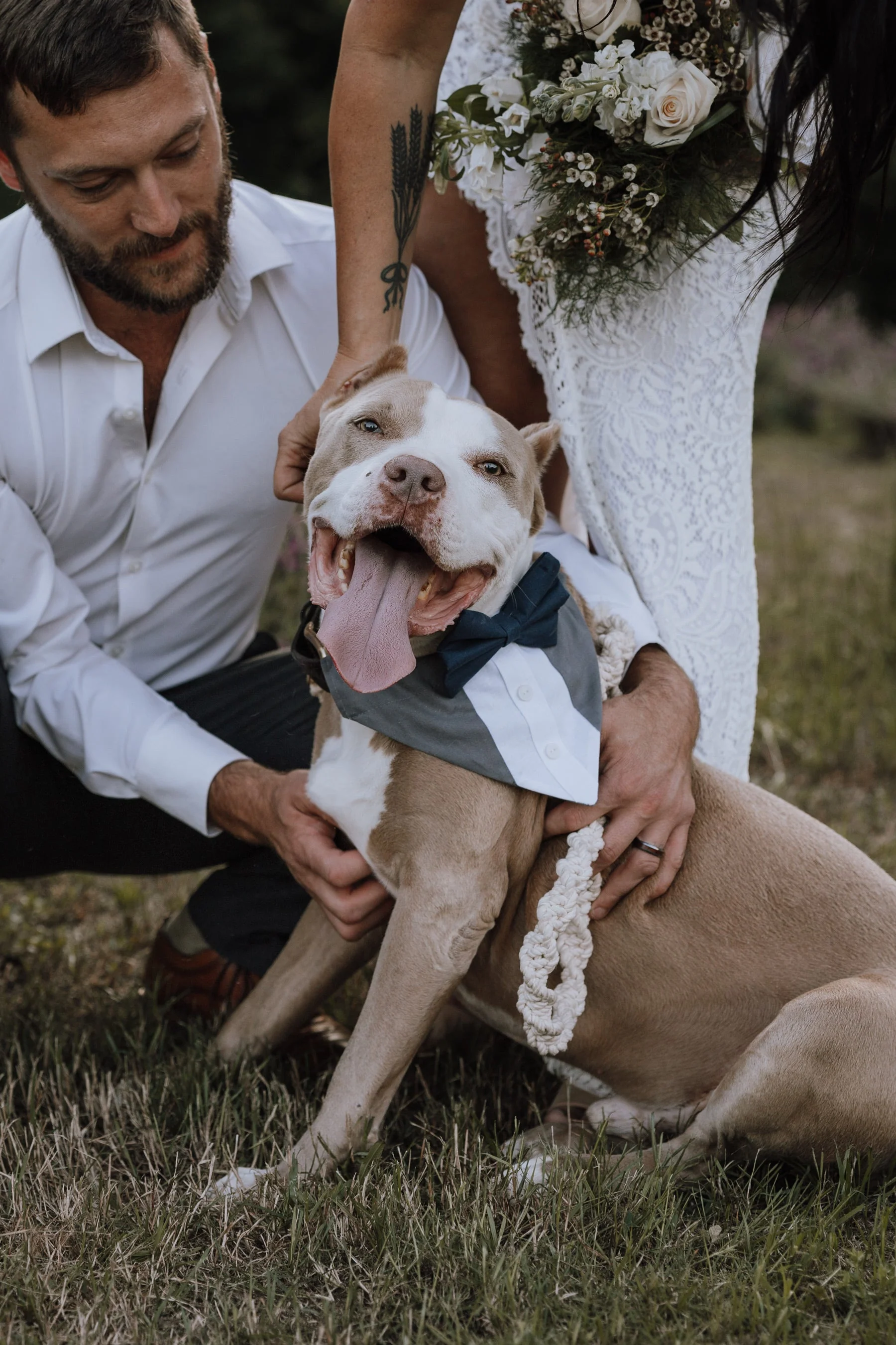 Customizable Tuxedo Pet Bandanas - Image 8