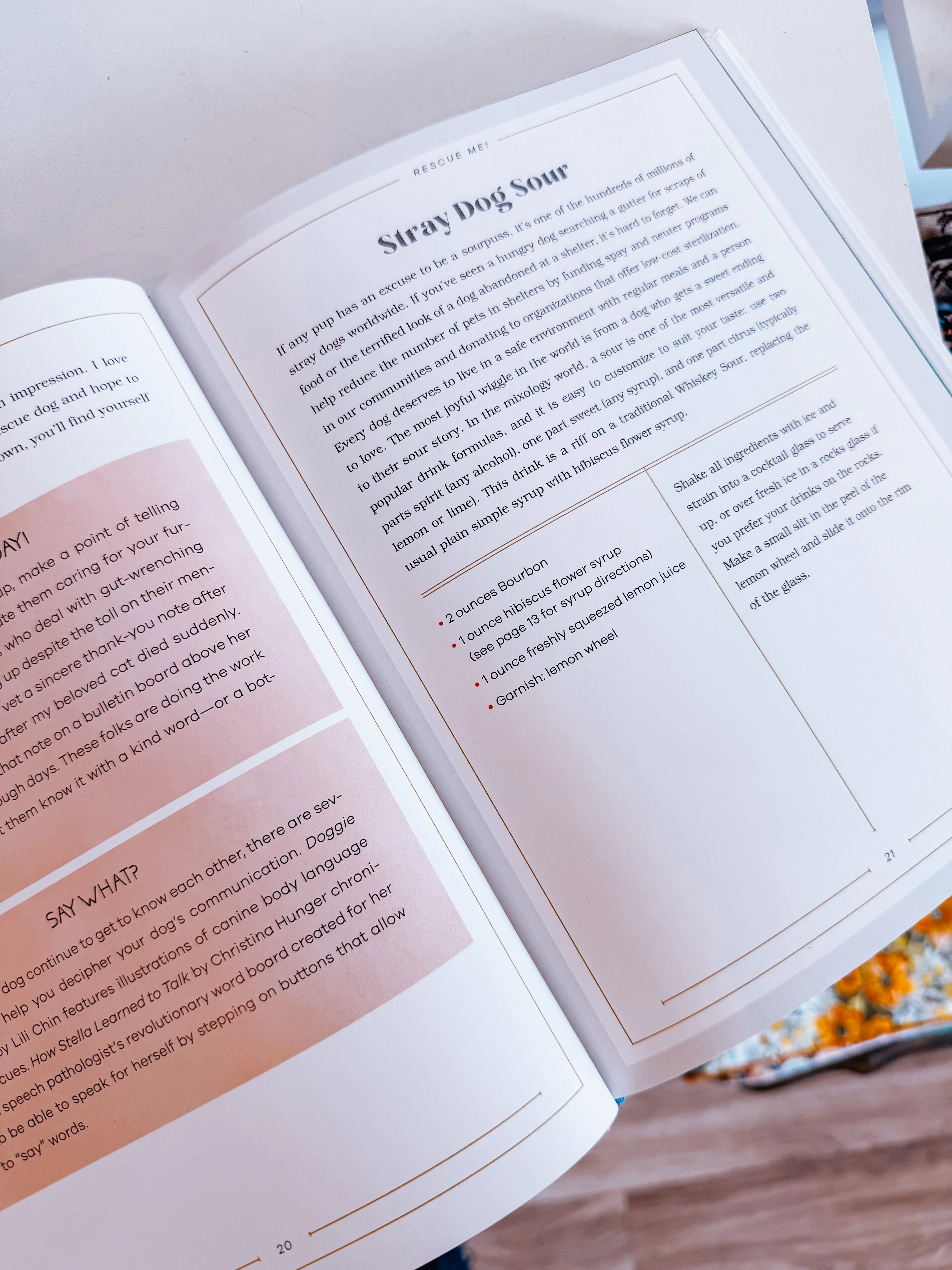 Drinking with My Dog Canine Cocktail Book - Image 4