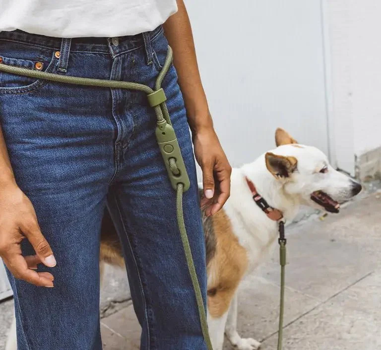 Hands-Free Leash - Image 10