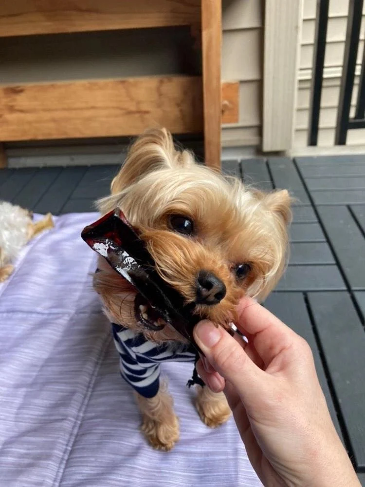 Collagen Beef Liver Chew - Image 3