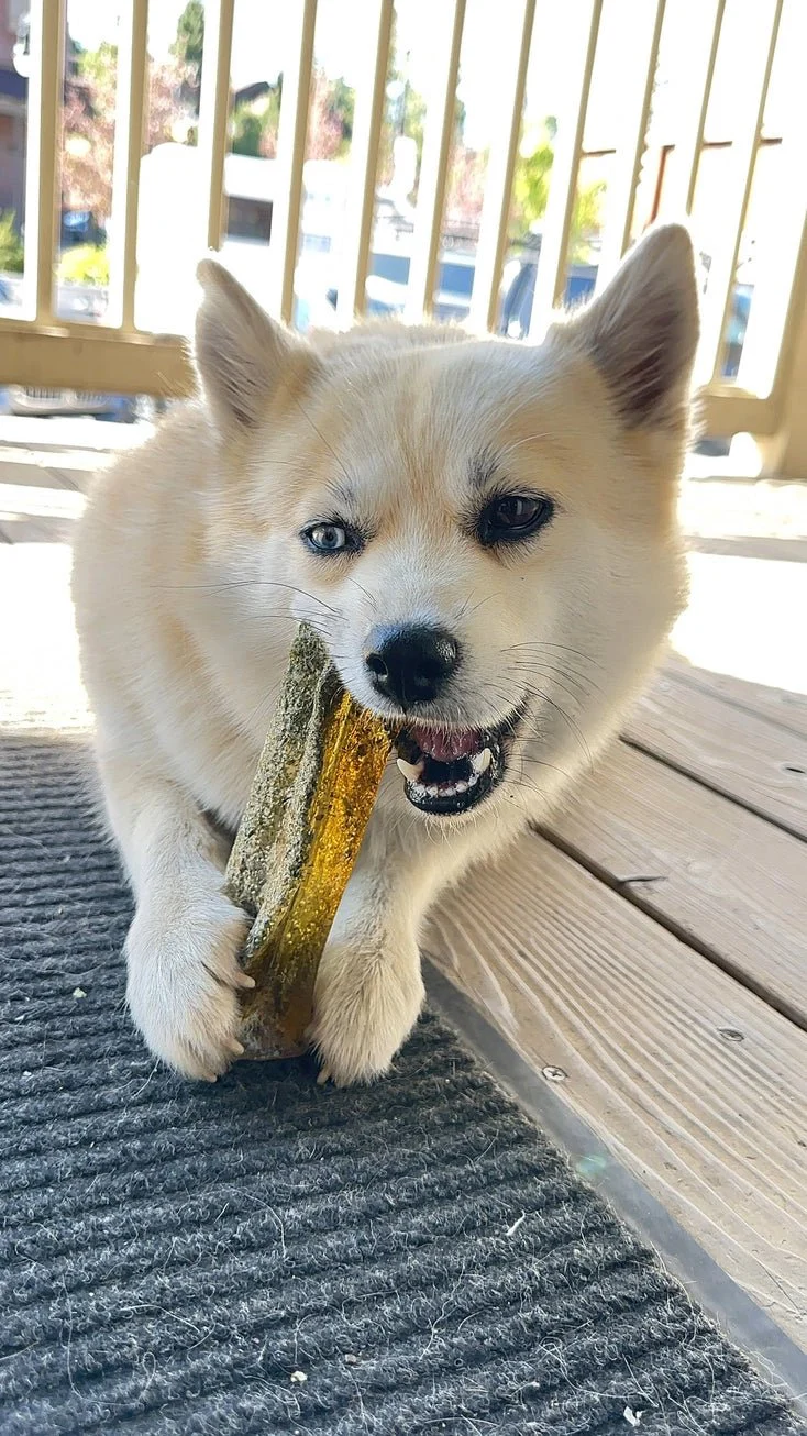 Collagen Pork Parsley Chew - Image 4